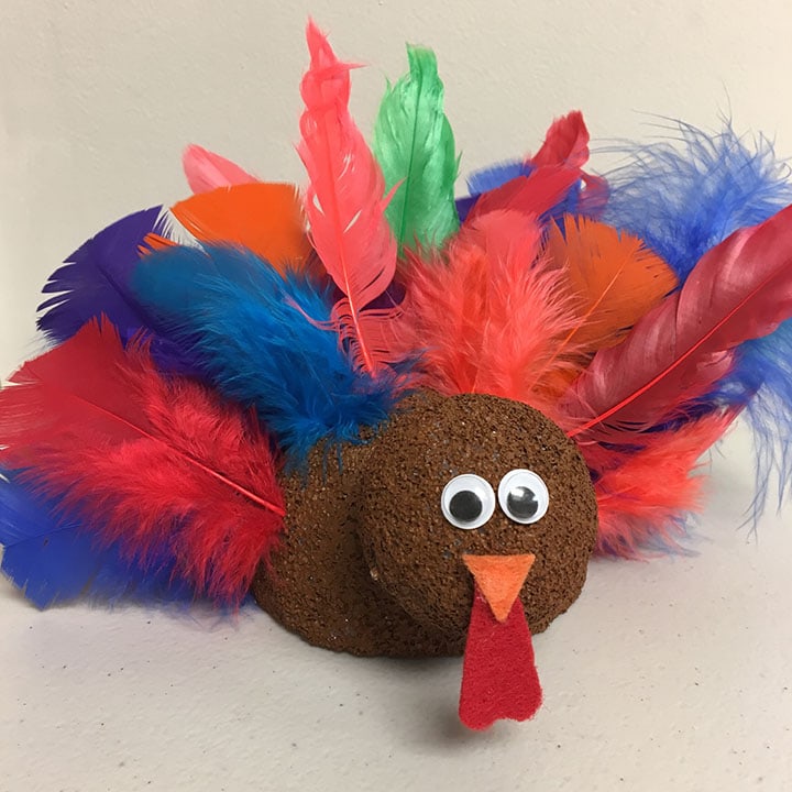 Finished feather turkey with beak