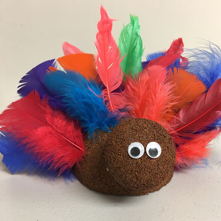 Googly eyes added to feather turkey