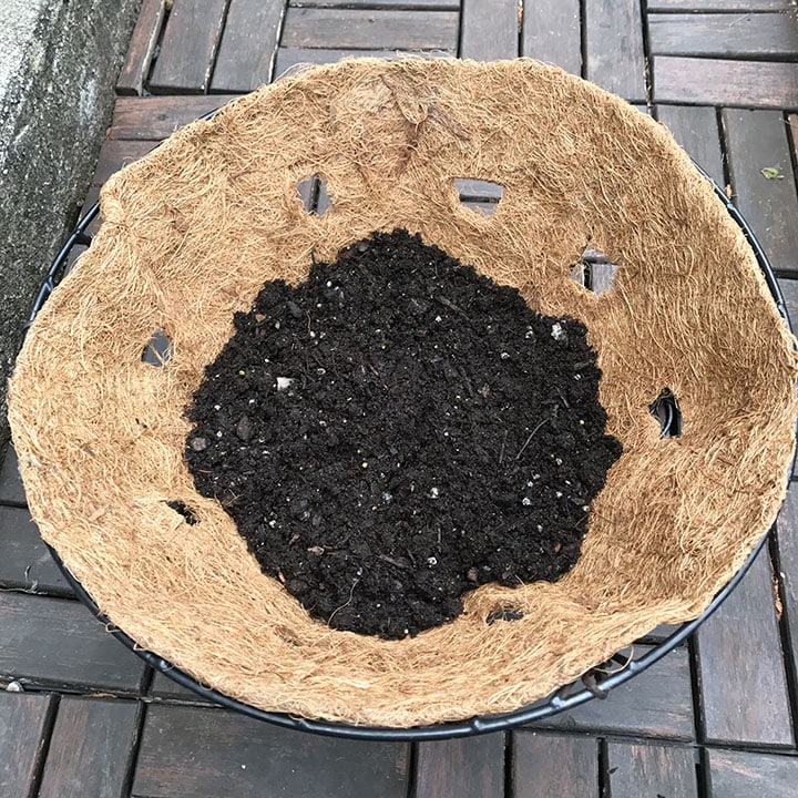 Holes cut in hanging basket liner