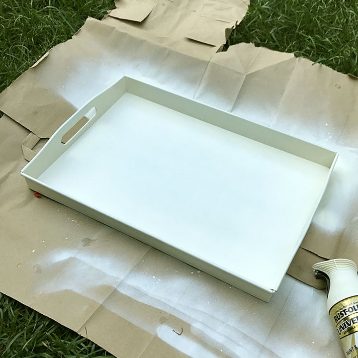 Spray painting tray