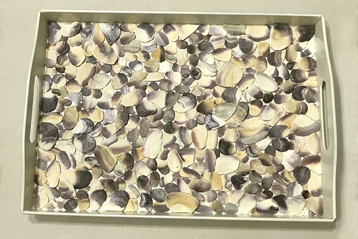 All shells glued in tray