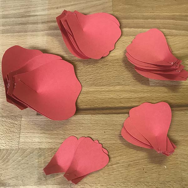 All single petals glued