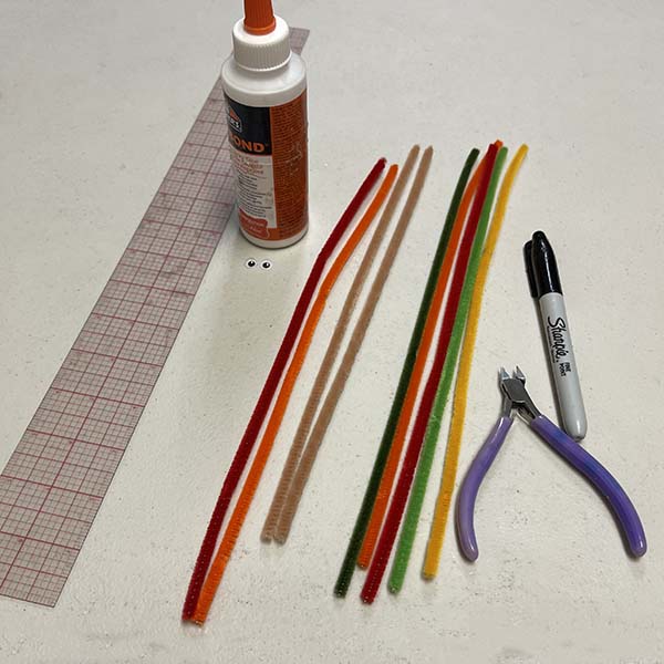 supplies for making pipe cleaner turkey