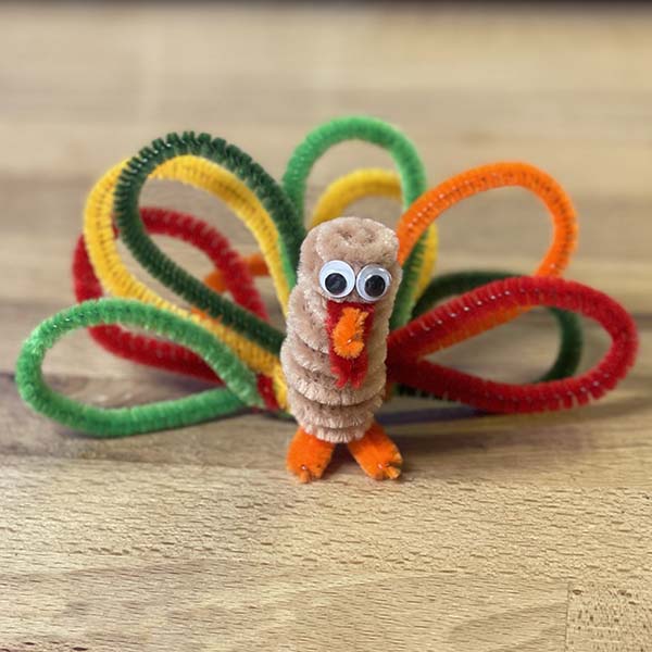 Finished pipe cleaner turkey