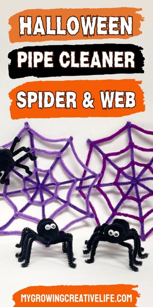 Pipe cleaner spider and spider web kids crafts