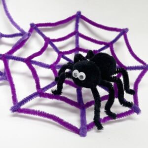 Pipe cleaner spider and spider web