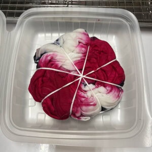Shirt in container ready to go into microwave