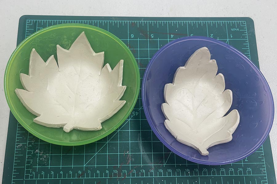 both leaves in bowls to dry